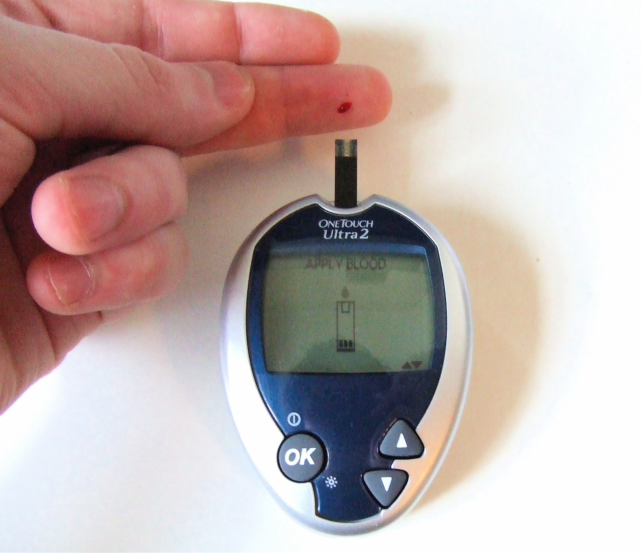 Blood glucose monitor