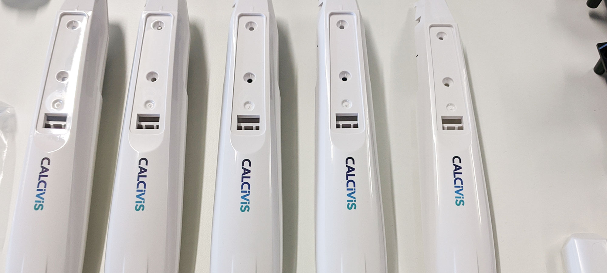 Calcivis - prototypes