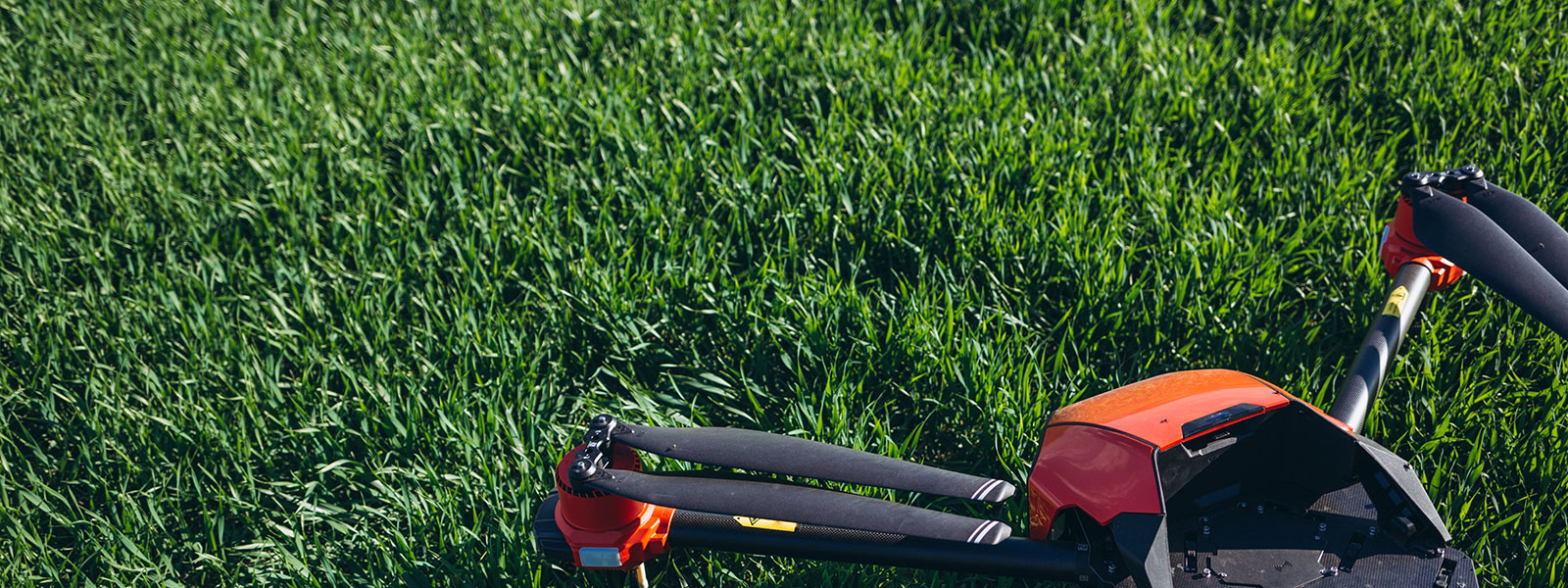 Developing AgriTech | Postponed